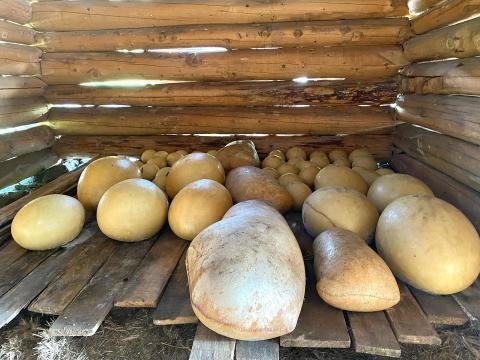 361885660 10227860185144279 2103509618288452623 n