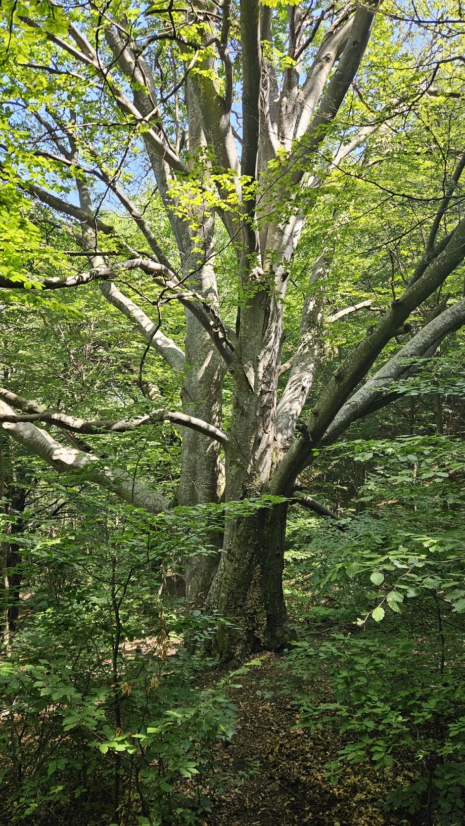 477ea51a-d031-46bd-b551-e3dd6a7337ee 0