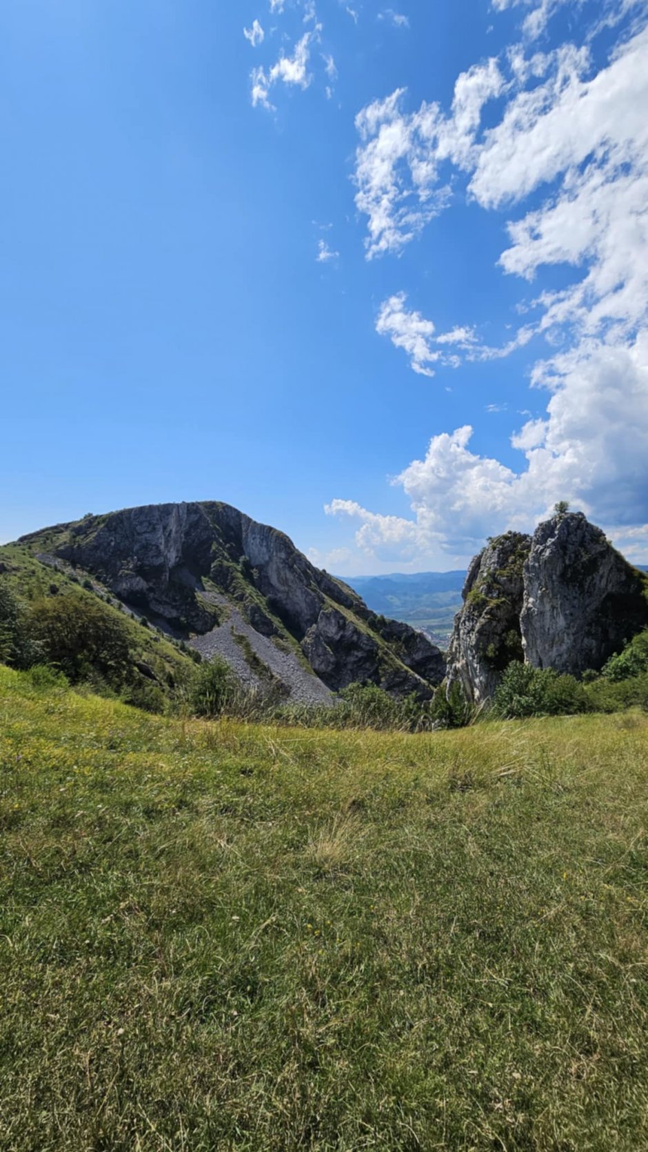 86d7e3cf-856d-44db-993a-2849998b97b4