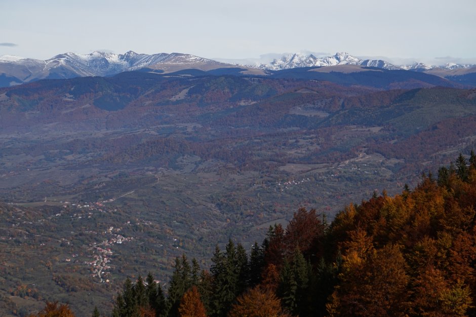  18mn img 01br din poiana perisani spre creasta fagarasilor 4