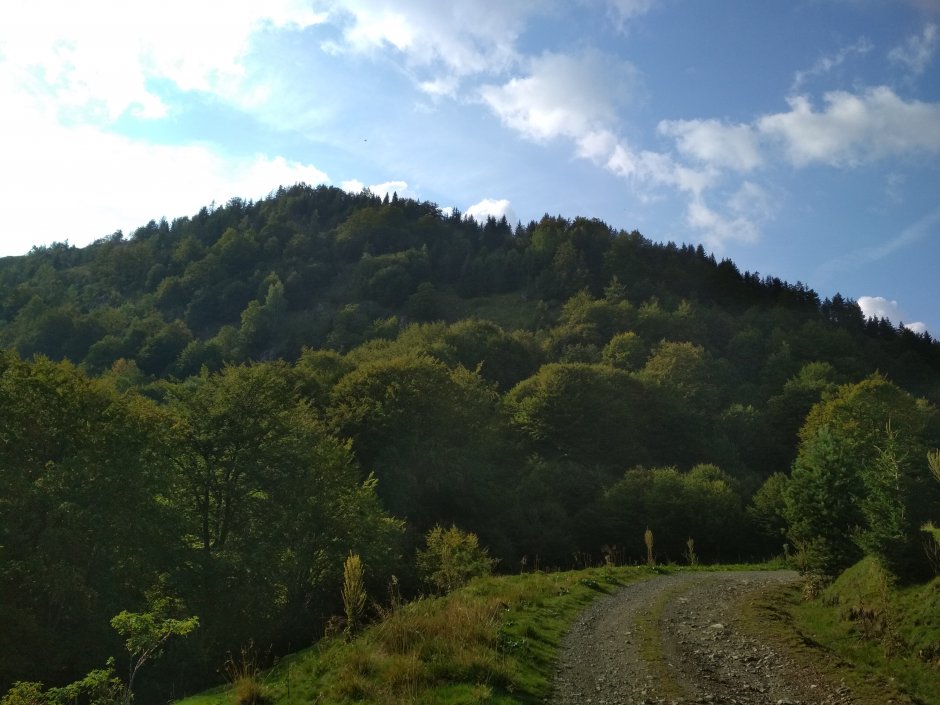  25mn img 20ta ciuceva neagra vazuta din poiana cu macris 0