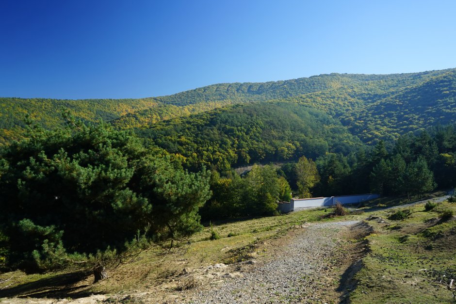  26mn img 13tg dealurile deasupra localitatii bicfalau