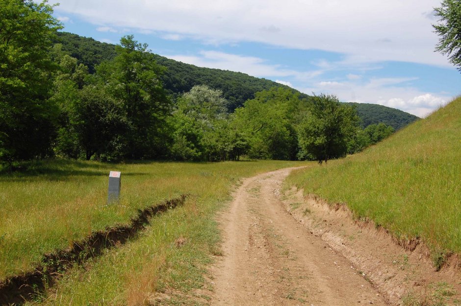  6mb img 05 pe vale mai sus de floresti 2 0