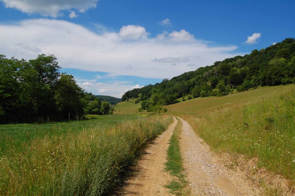  6mb img 05 pe vale mai sus de floresti 3 0