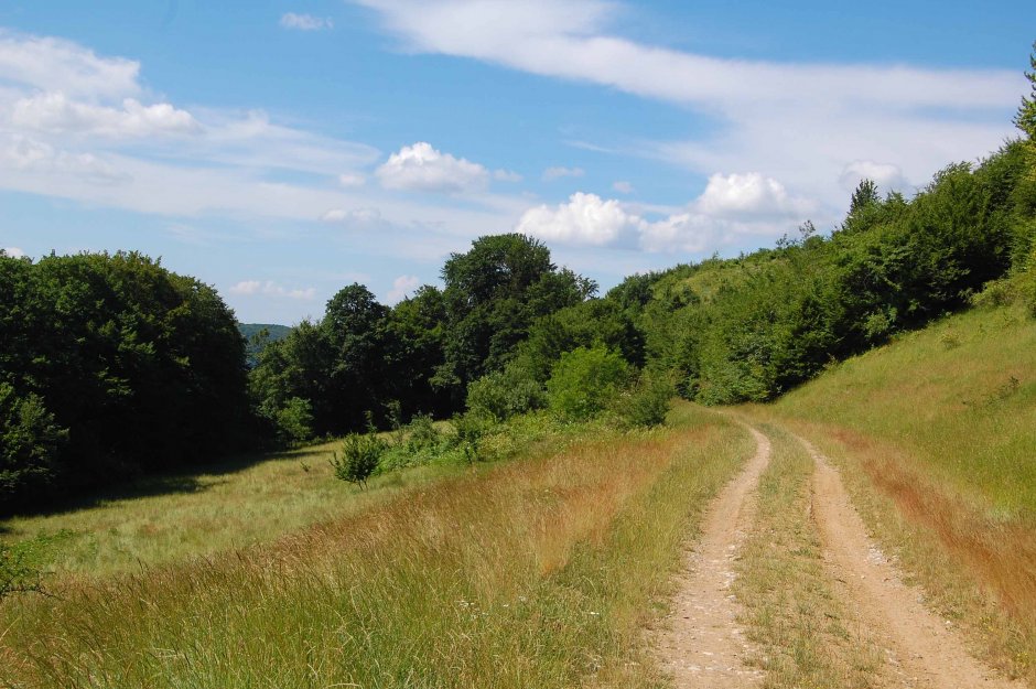  6mb img 05 pe vale mai sus de floresti 4