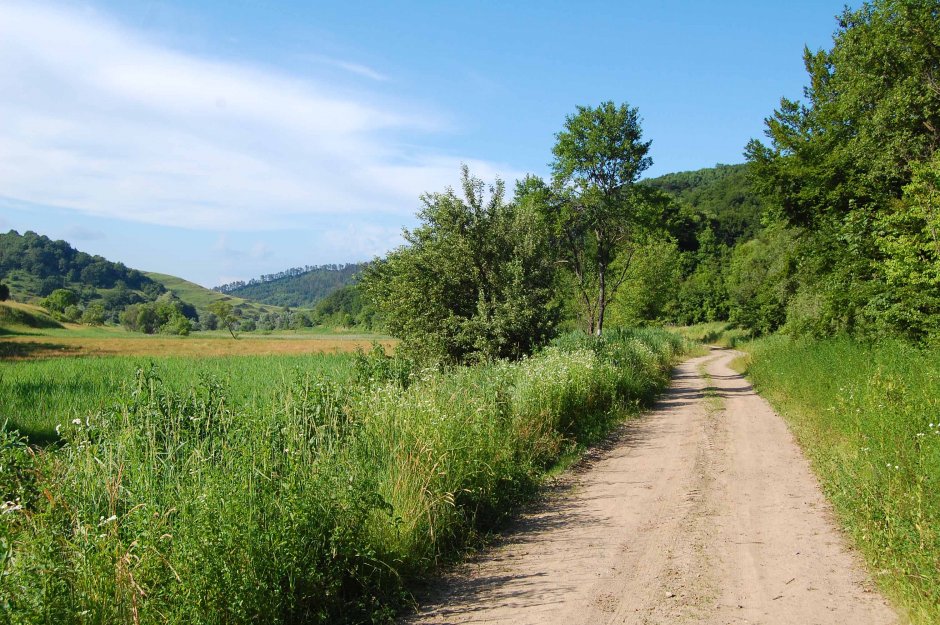  6mb img 05 valeaiacobeni 2 0