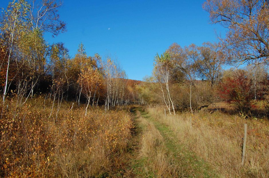 6mb img 08 de la ghijasa de jos spre stana 0