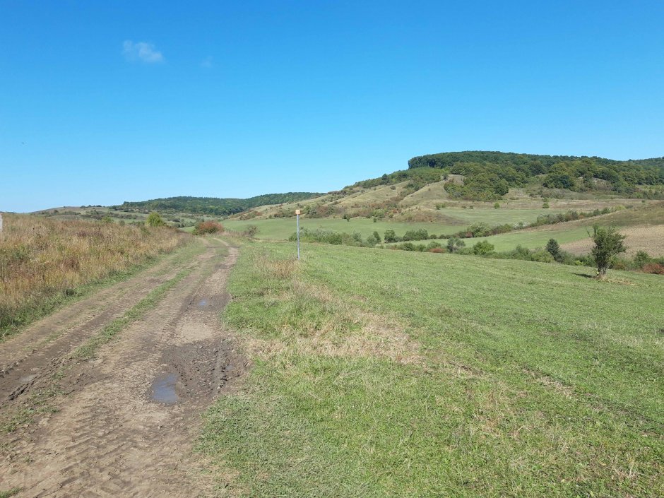  6mb img 11 din archita spre roades