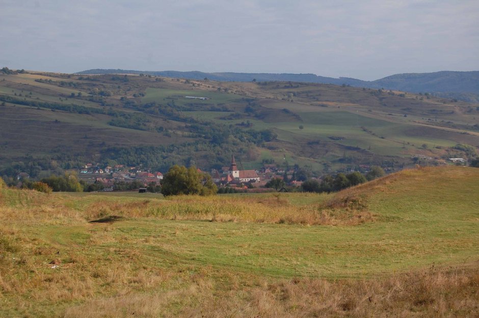  6mb img 12 archita 0