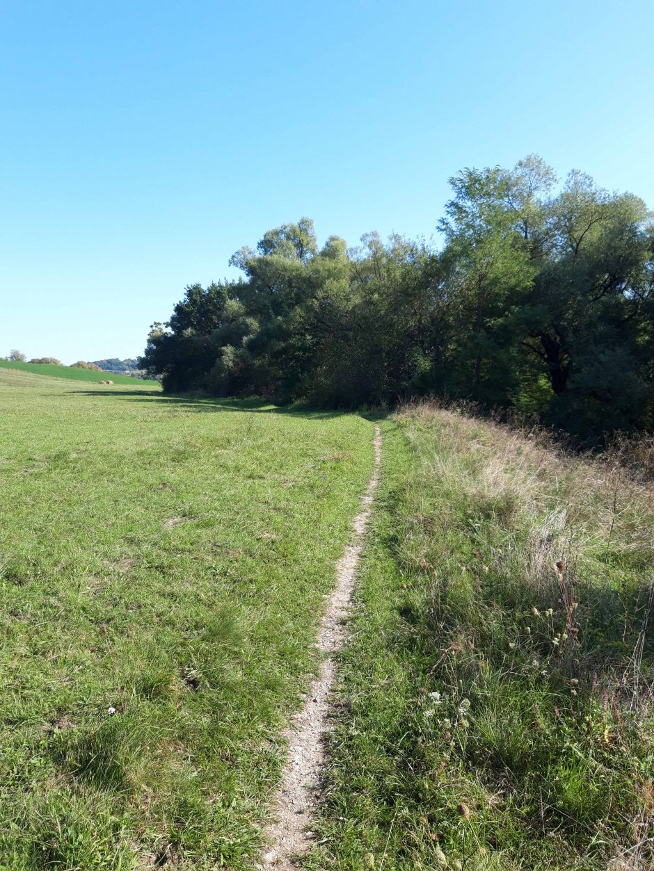 6mb img 12 poteca de biciclete de-a lungul paraului scroafei