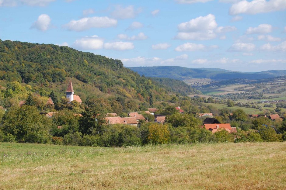  6mb img 14 mesendorf 0