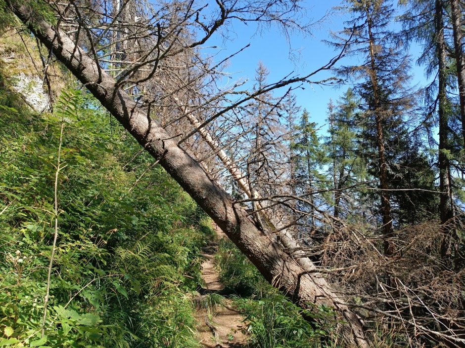 img 20230909 114525 1