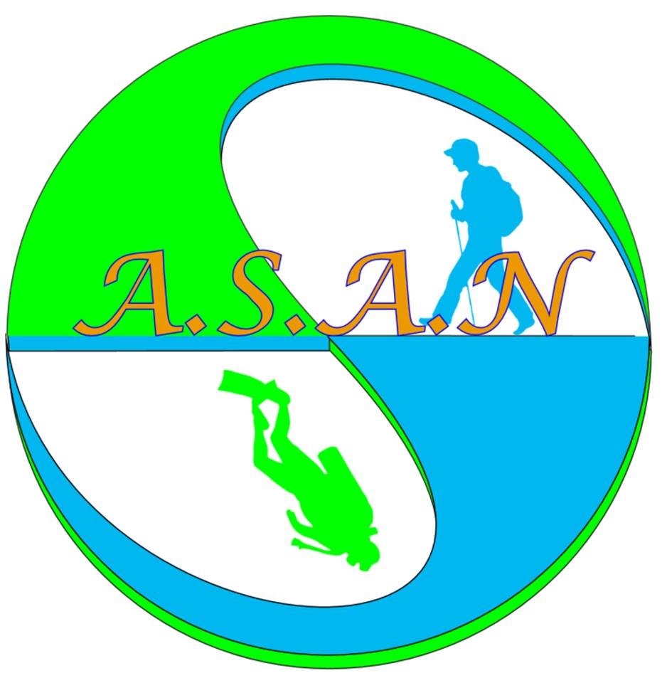 logo n asan 1