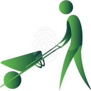 imaginea utilizatorului ovidiu timisan