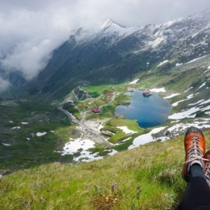 imaginea utilizatorului Valentin Puscasan