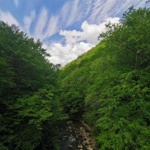 imaginea utilizatorului criss_petre