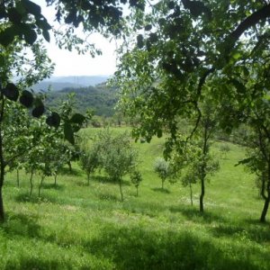 imaginea utilizatorului Izvoru' Secat