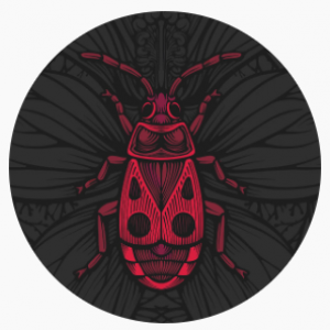 imaginea utilizatorului Laura I