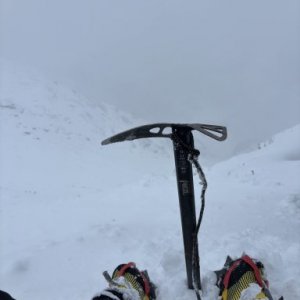 imaginea utilizatorului gurauc