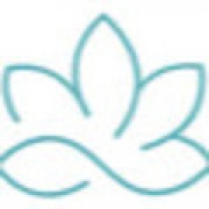 imaginea utilizatorului NICOLAE BOC