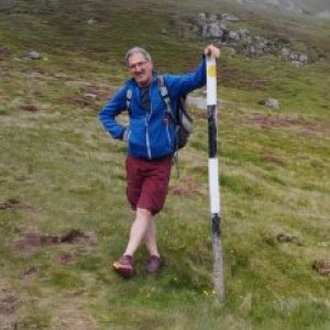 imaginea utilizatorului pascu