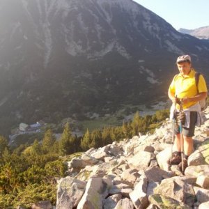 imaginea utilizatorului Vulpe Gabriel Dragos