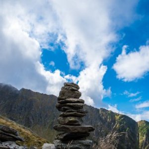 imaginea utilizatorului Mihai Cosmin Rosu