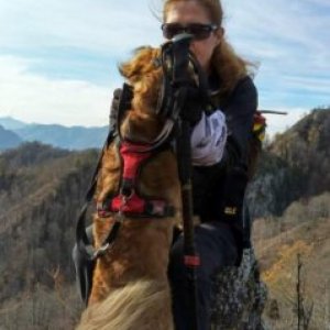 imaginea utilizatorului Florea Rodica