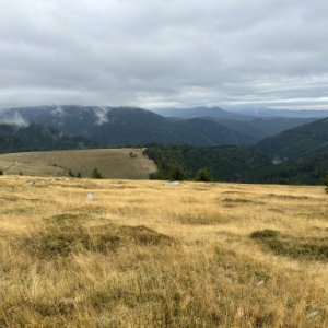 imaginea utilizatorului Iulyan2023