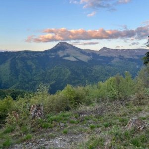 imaginea utilizatorului Cosminalul