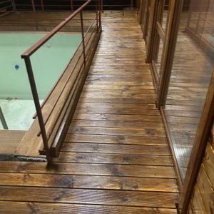 imaginea utilizatorului Stf44