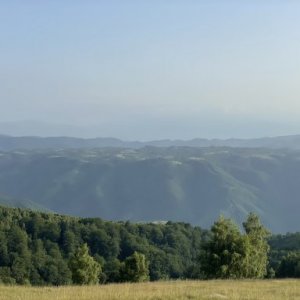 imaginea utilizatorului cosma999