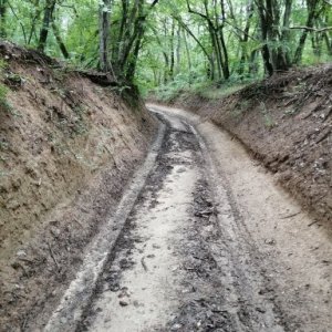 imaginea utilizatorului martinel1001