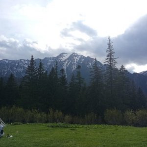 imaginea utilizatorului andra_stc