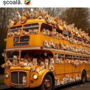 imaginea utilizatorului Ree