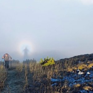 imaginea utilizatorului El3menT1976