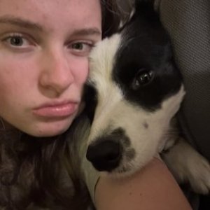 imaginea utilizatorului lydiagroza