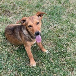 imaginea utilizatorului AnaMaria0705