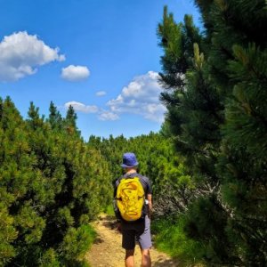 imaginea utilizatorului Cosmin08