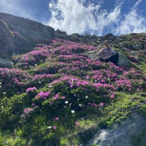 imaginea utilizatorului Anuța98