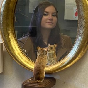 imaginea utilizatorului Denisa Rad