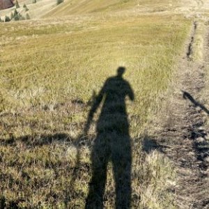 imaginea utilizatorului nibucu