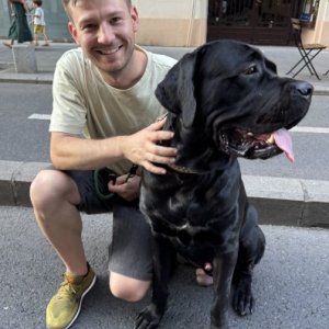 imaginea utilizatorului catalinionascu