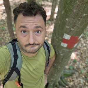 andrei.joldos's picture