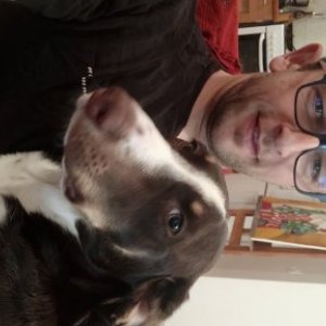 imaginea utilizatorului Radu Conea