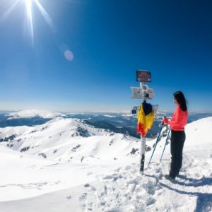 imaginea utilizatorului Roxana Scinteie