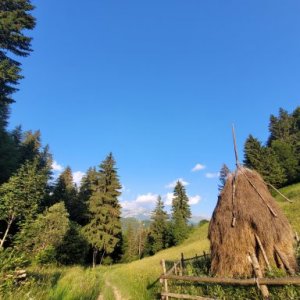 imaginea utilizatorului MosteanuM