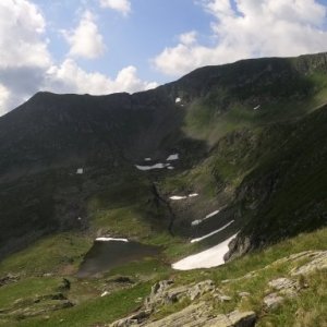 Octavian Schiopu's picture