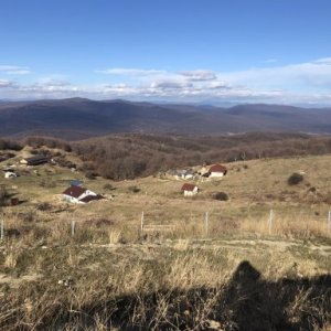 imaginea utilizatorului chelu