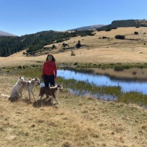 imaginea utilizatorului Danuka